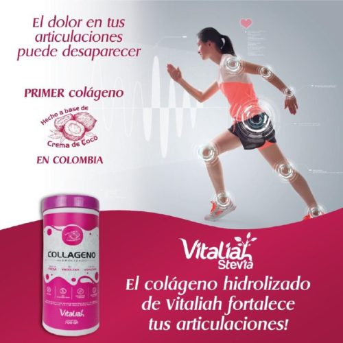 COLÁGENO DE FRESA 700 GR - Imagen 3