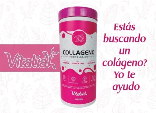 COLÁGENO DE FRESA 700 GR