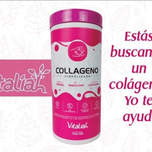COLÁGENO DE FRESA 700 GR